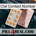 Cial Contact Number new13